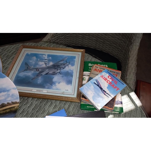 258 - A misc lot of aircraft/RAF items, mugs, collectors plates, teacards, books, photos, etc