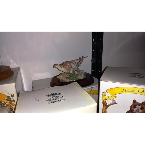 419 - A good lot of Leonardo boxed bird figurines