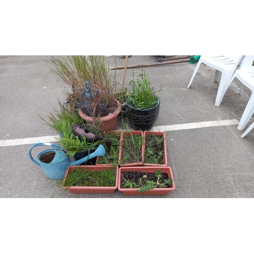 840 - A quantity of garden planters & galvanised watering can etc. COLLECT ONLY