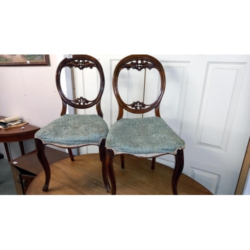 895 - A pair of Victorian bedroom chairs, COLLECT ONLY.