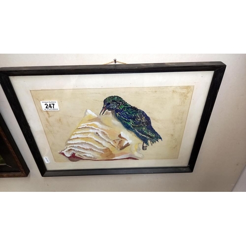 247 - An oil on board of a great spotted woodpecker and a watercolour of one other COLLECT ONLY