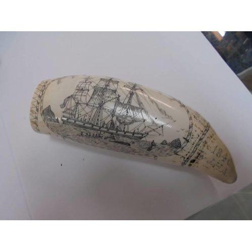 2053 - Two replica scrimshaws depicting sailing vessels.