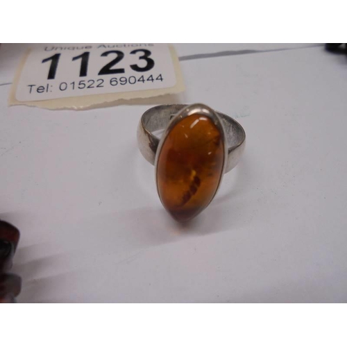 1123 - An amber necklace, amber bracelet, amber set ring, amber fish on rock and two amber stones.