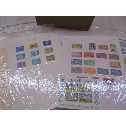 1175 - A box containing a large quantity of mini collections of stamps on sheets from many countries of the... 