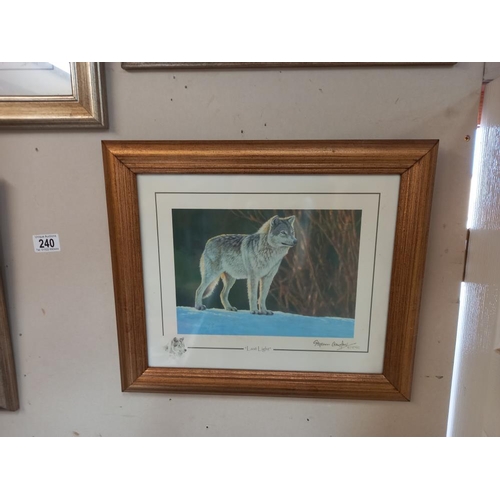 240 - 6 framed & glazed prints by Stephen Gayford, tiger, wolves, polar bear, leopard & a framed leopard p... 