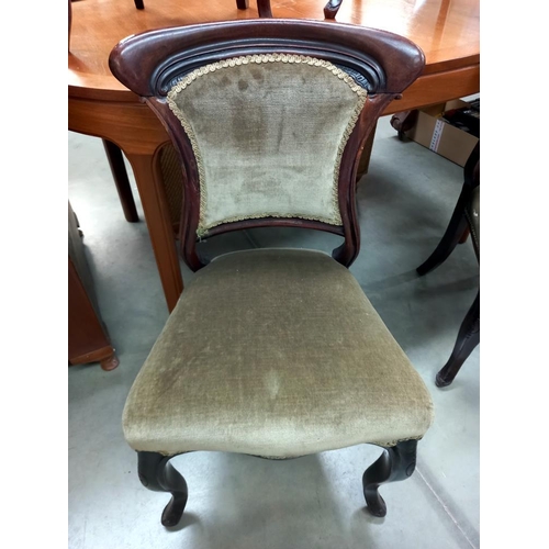 331 - 4 Edwardian dining chairs COLLECT ONLY