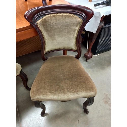 331 - 4 Edwardian dining chairs COLLECT ONLY