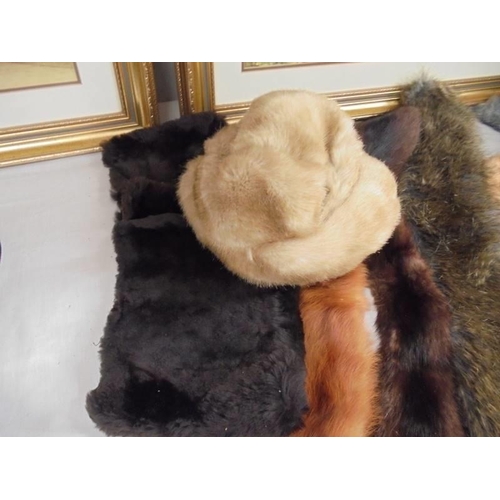 53 - Five fur stoles, four fur hats and two fur cuffs.