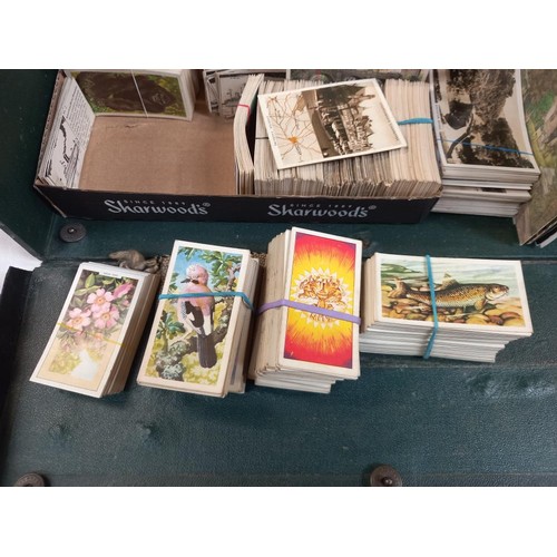 36 - An old case of postcards and photographic cigarette cards by Churchman, Senior Service, Beatall toba... 