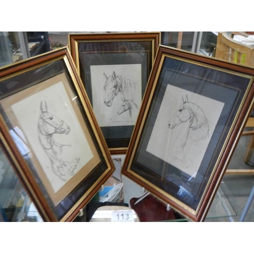 113 - Three framed and glazed studies of horses, signed but indistinct.