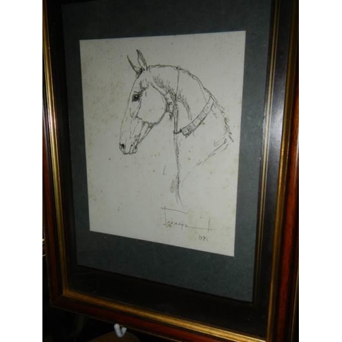 113 - Three framed and glazed studies of horses, signed but indistinct.