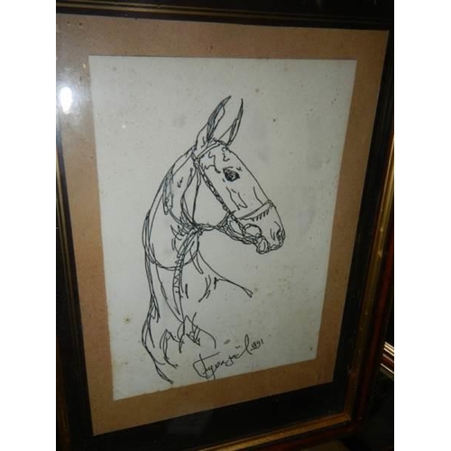 113 - Three framed and glazed studies of horses, signed but indistinct.