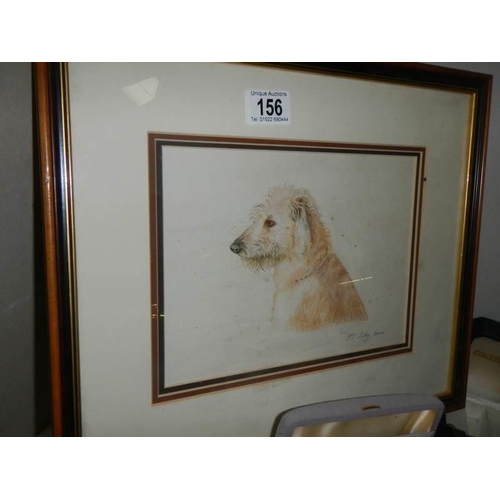 156 - A framed and glazed study of a Terrier signed M Lilley 2000, COLLECT ONLY.