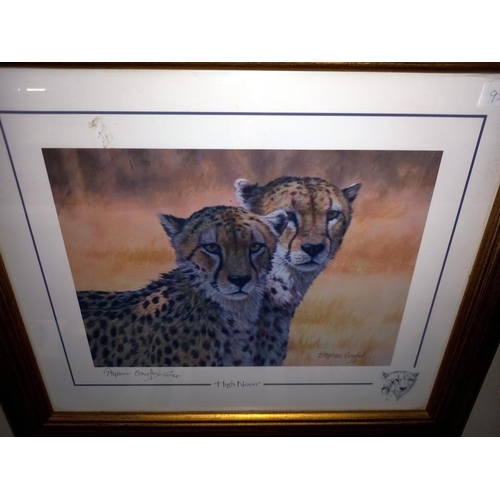 1045 - 5 gilt framed & glazed prints of big cats COLLECT ONLY