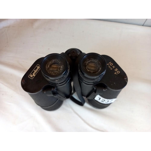 1237 - A 10 x 50 set of binoculars