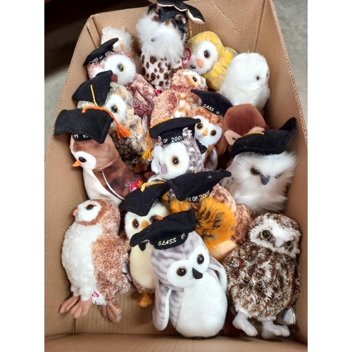 1245 - A box of TY Beanie Babies owls