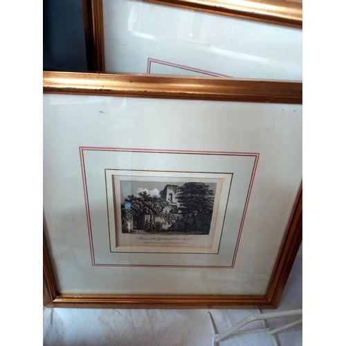 33 - A quantity of gilt framed Lincoln engravings and other Lincoln maps, prints etc