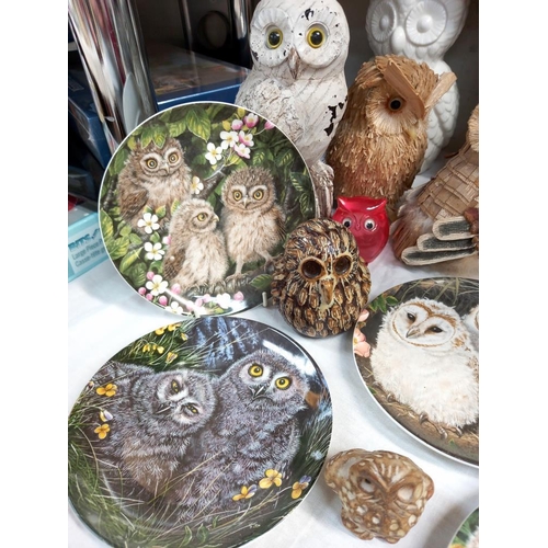 63 - A quantity of owl related items including Wedgwood plates