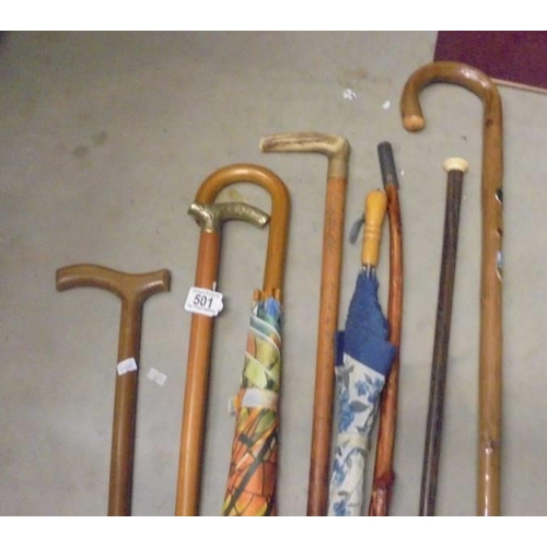 501 - A quantity of walking sticks and umbrella's, COLLECT ONLY.