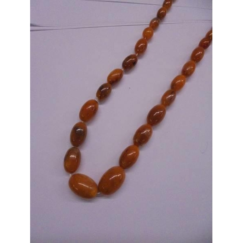 1089 - An amber bead necklace.