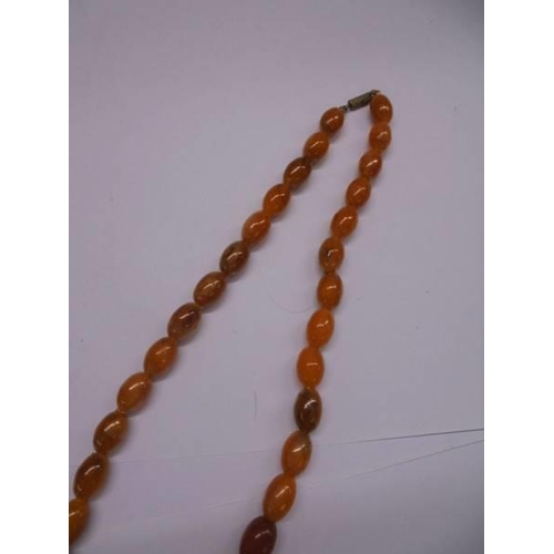 1089 - An amber bead necklace.