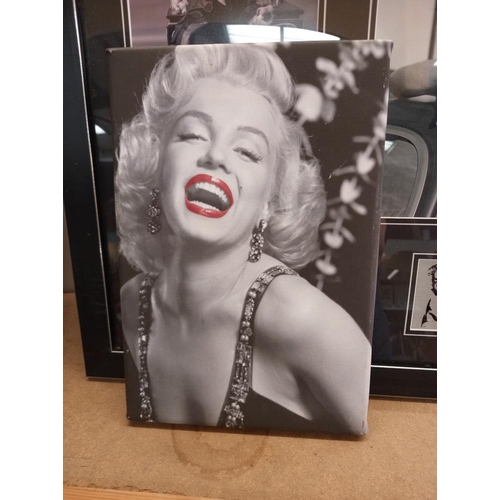 177 - A quantity of Marilyn Monroe black and white pictures COLLECT ONLY