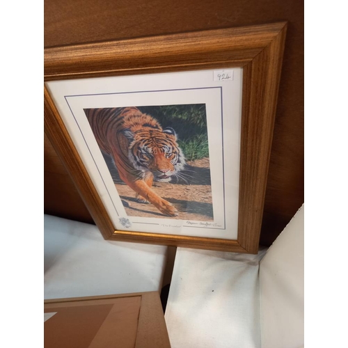 211 - 5 gilt framed & glazed prints of big cats COLLECT ONLY