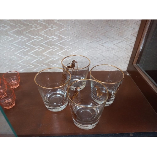 244 - A glass decanter & a good lot of assorted drinking glasses in 8's, 6's & 4's. COLLECT ONLY