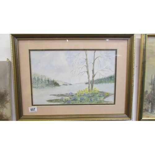 607 - A framed and glazed watercolour spring rural scene, COLLECT ONLY.