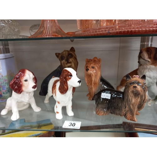 30 - A selection of dog ornaments etc. including Regency Fine Art, Tales of Honeysuckle Hill