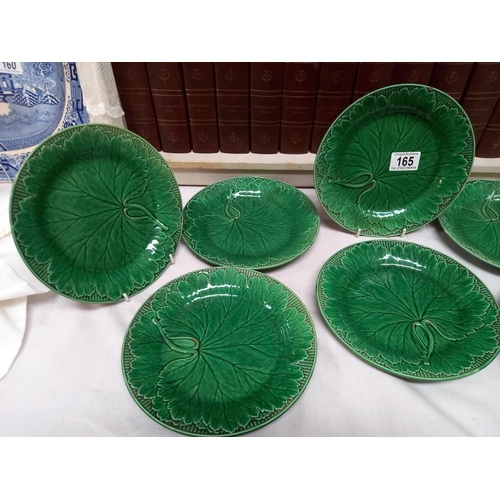 165 - 8 Wedgwood cabbage plates