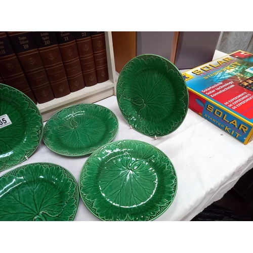 165 - 8 Wedgwood cabbage plates