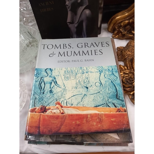 224 - A selection of books on archaeology, tombs, mummies etc