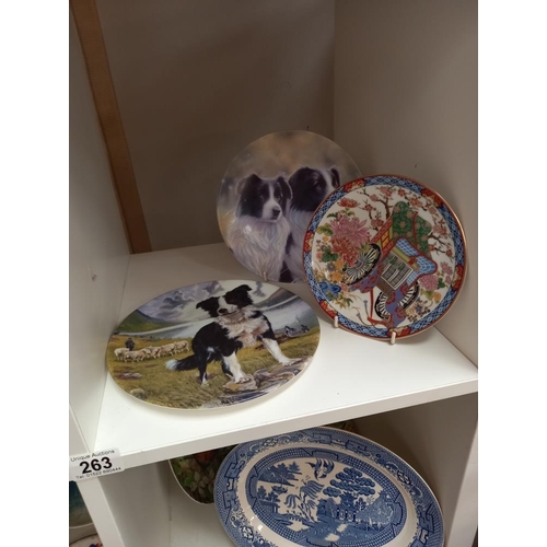 263 - A quantity of collectable cabinet plates COLLECT ONLY