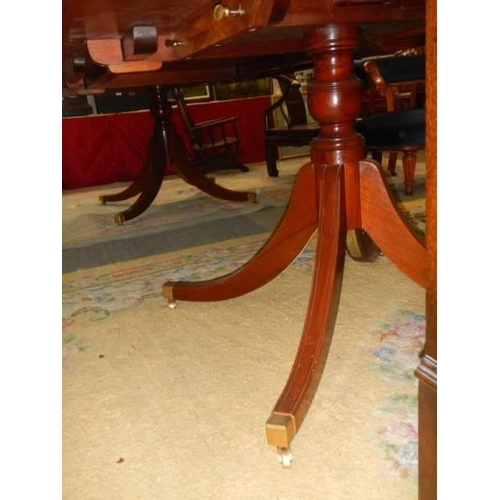 1573 - AN extending mahogany double pedestal dining table on splay feet, 305 cm long, COLLECT ONLY.