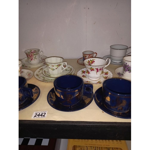 2442 - A good lot of cups & saucers including 6 piece & 2 trios COLLECT ONLY