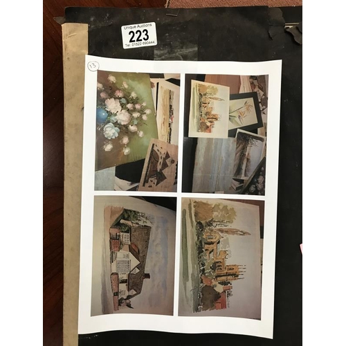 Lot 223       