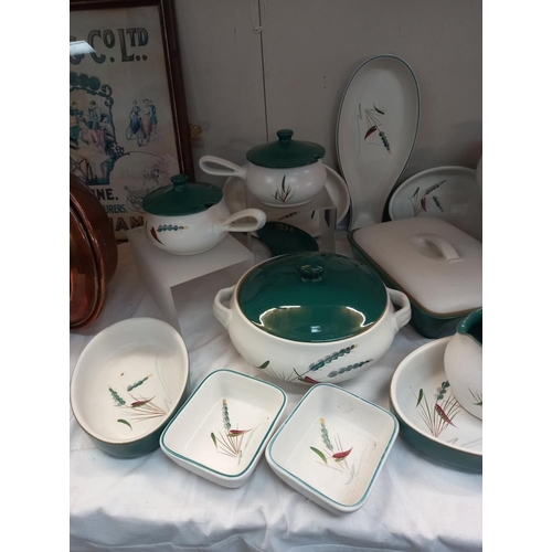 258 - A quantity of Denby Greenwheat dinner pieces COLLECT ONLY