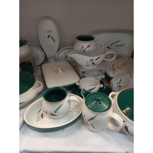 258 - A quantity of Denby Greenwheat dinner pieces COLLECT ONLY