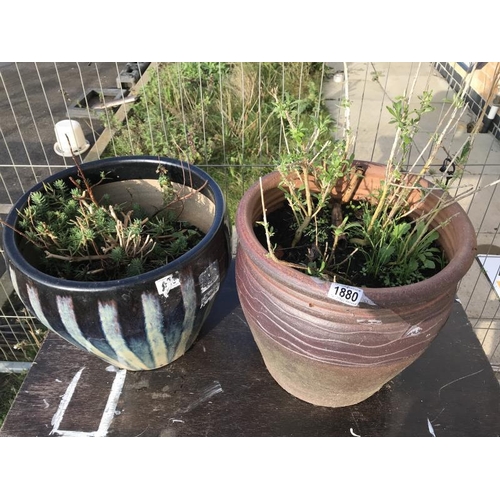 1880 - Two glazed clay planters, COLLECT ONLY.