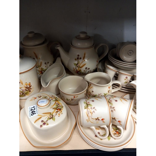 1246 - A quantity of 'Harvest' dinnerware COLLECT ONLY