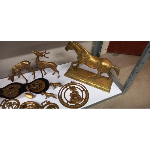 1291 - A good lot of horse brasses and  brass animals COLLECT ONLY