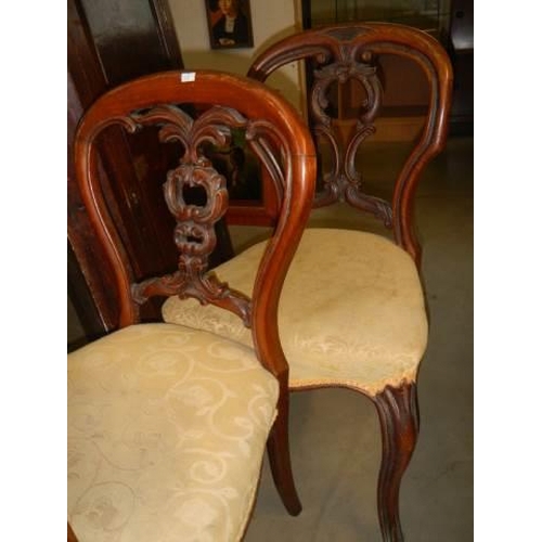 519 - Three Victorian mahogany bedroom chairs, COLLECT ONLY.