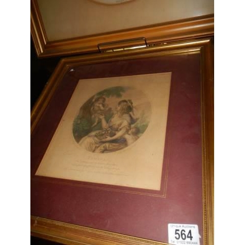 564 - A framed and glazed circular print entitled 'Wonders of the Sea' and one other.