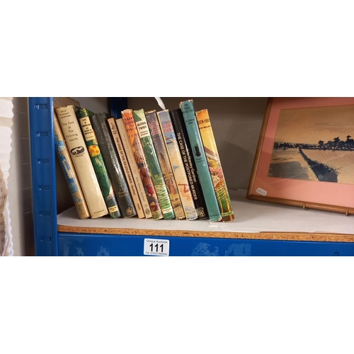 111 - A quantity of vintage children's hardback books etc