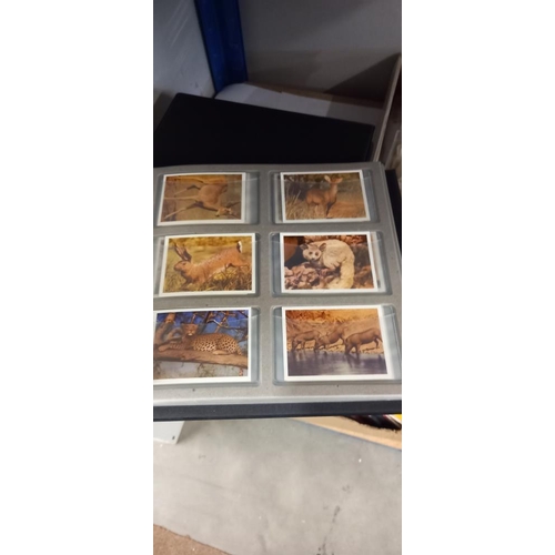 114 - A large selection of tea cards, some in albums and card sleeves