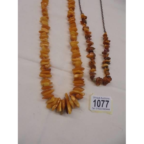 1077 - Two Baltic amber necklaces.