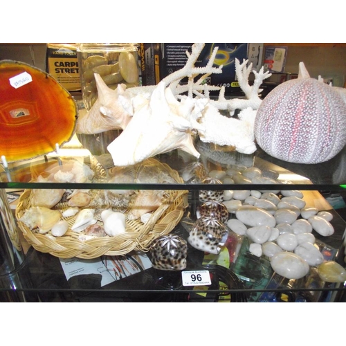 96 - A quantity of shells, coral, pebble stones etc