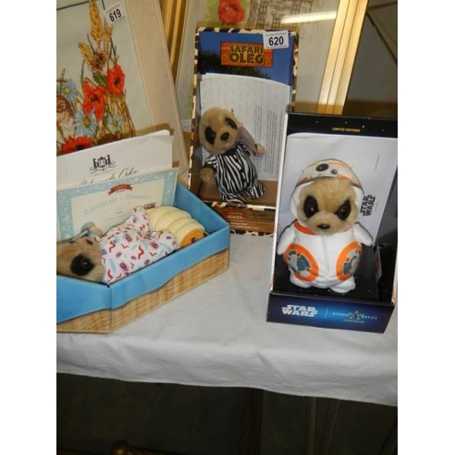 620 - Three Compare the Meercats including Star Wars BB-8, Safari Oleg and Meerpup.