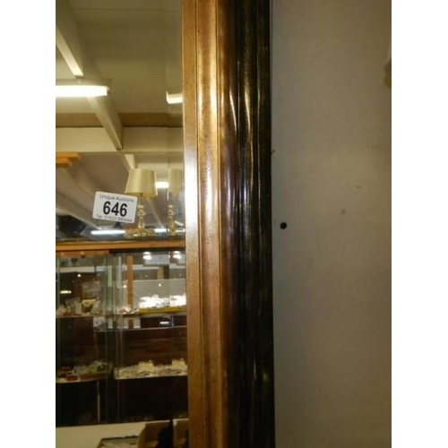 646 - A large bevel edged mirror, 45 x 136 cm. COLLECT ONLY.